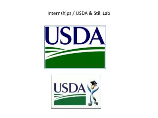 Internships / USDA &amp; Still Lab