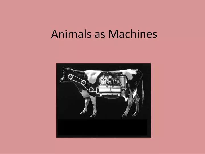 animals as machines