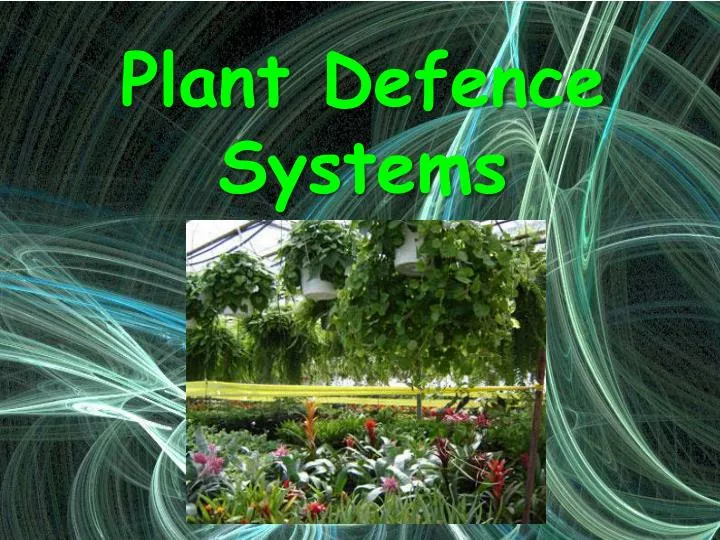 plant defence systems