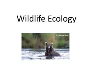 Wildlife Ecology