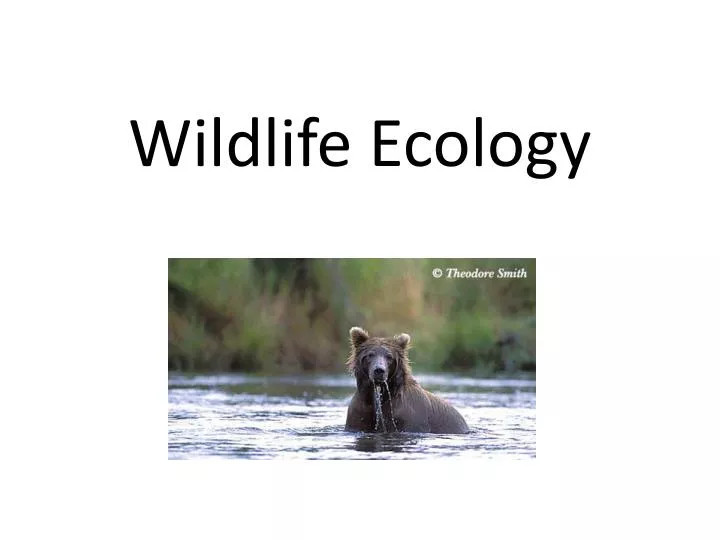 wildlife ecology