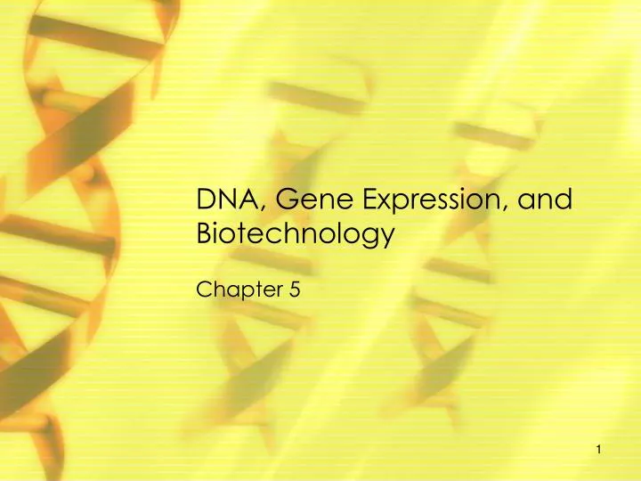 dna gene expression and biotechnology