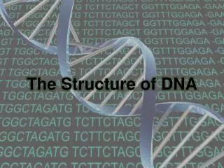 the structure of dna