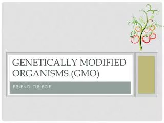 Genetically Modified Organisms (GMO)
