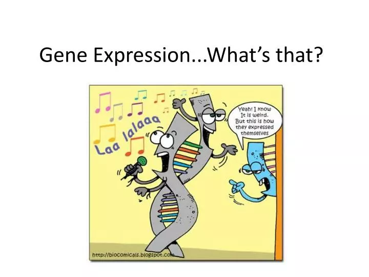 gene expression what s that
