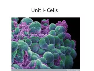 Unit I- Cells