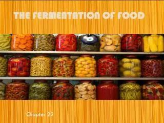 The Fermentation of Food