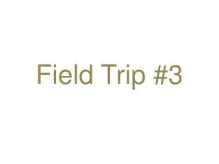 Field Trip #3