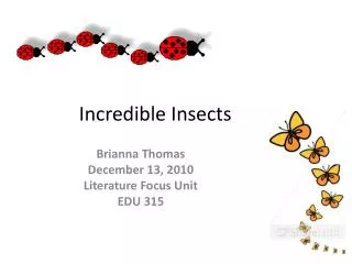 Incredible Insects