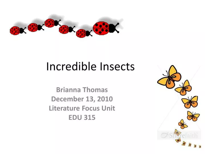 incredible insects