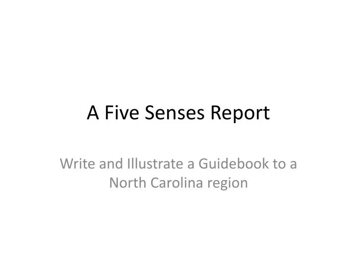 a five senses report