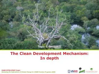 The Clean Development Mechanism: In depth