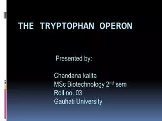 The tryptophan operon