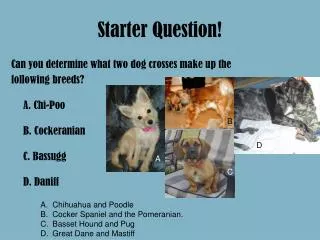 Starter Question!