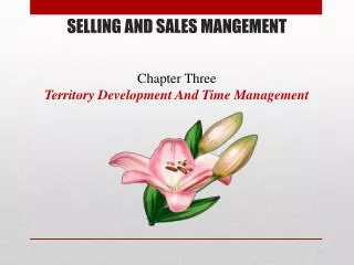 SELLING AND SALES MANGEMENT Chapter Three Territory Development And Time Management