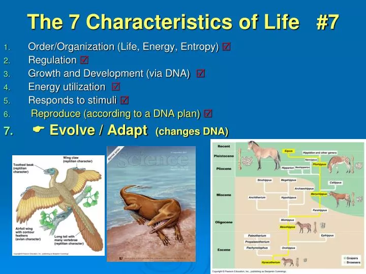 the 7 characteristics of life 7