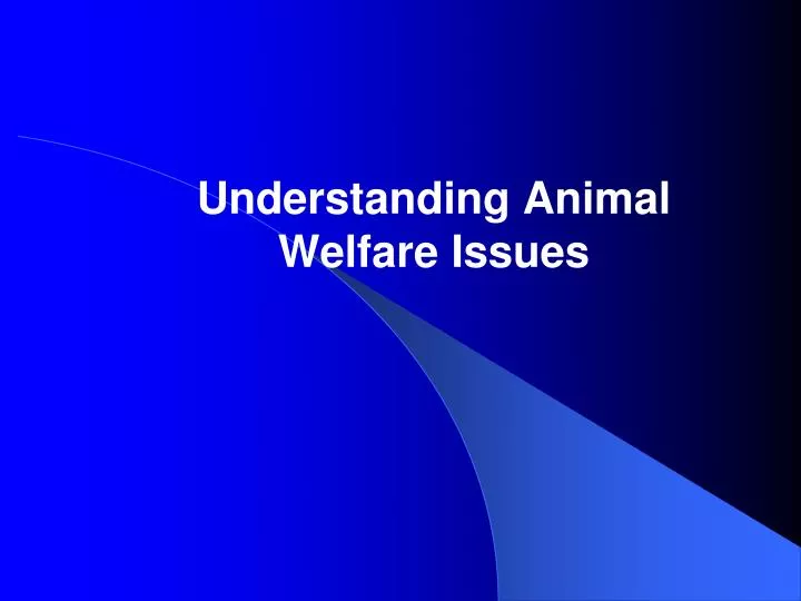 understanding animal welfare issues