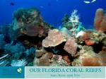 OUR FLORIDA CORAL REEFS - slide 1