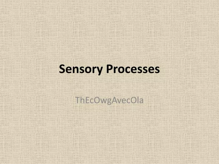 sensory processes