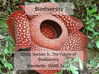 Biodiversity