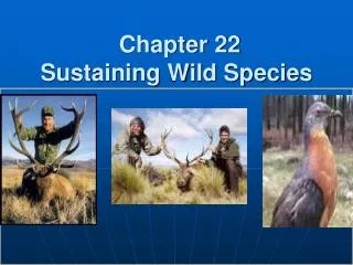 Chapter 22 Sustaining Wild Species