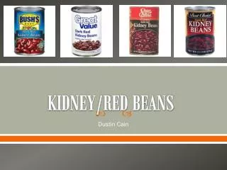 KIDNEY/RED BEANS