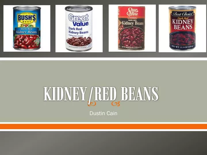 kidney red beans