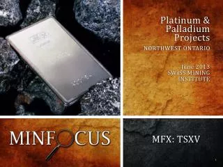 Platinum &amp; Palladium Projects
