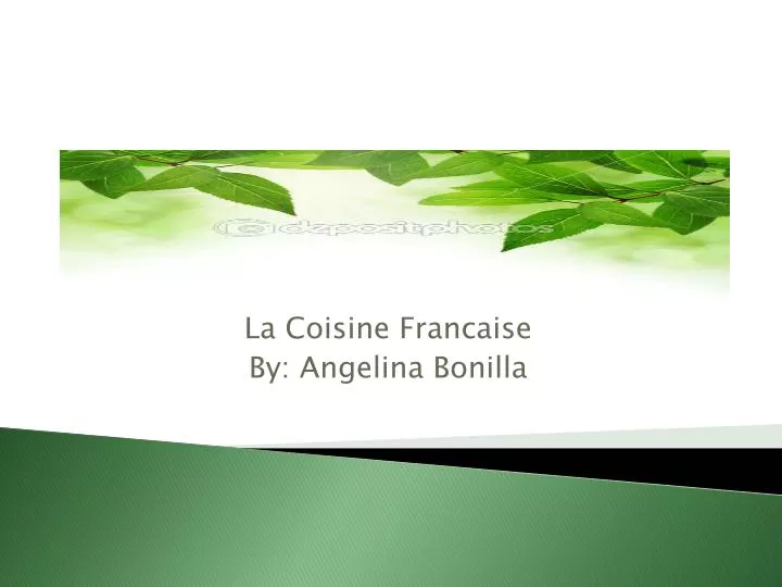 la coisine francaise by angelina bonilla