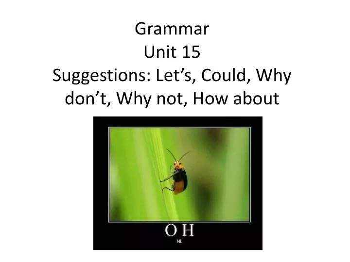 grammar unit 15 suggestions let s could why don t why not how about
