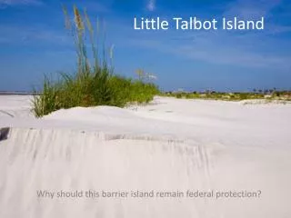 Little Talbot Island