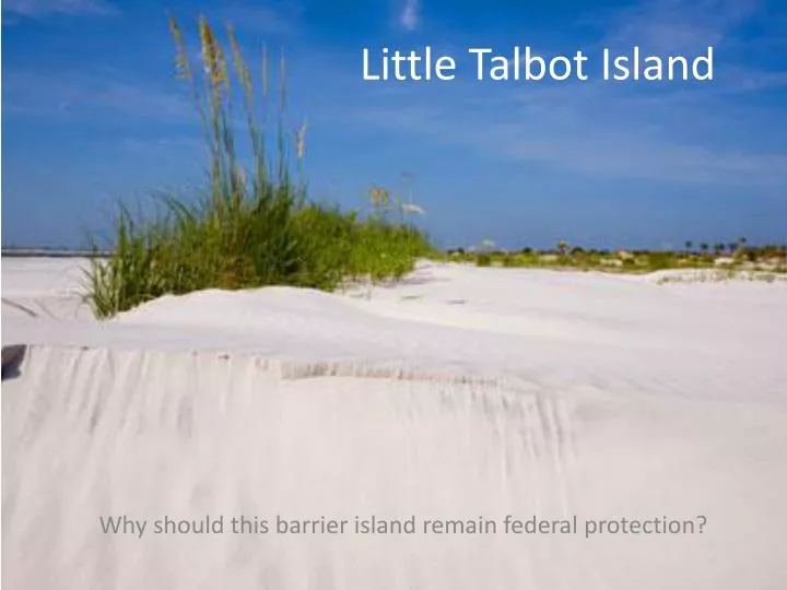 little talbot island