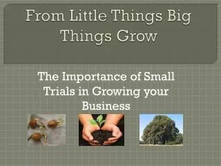 From Little Things Big Things Grow