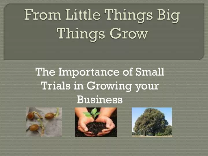 from little things big things grow