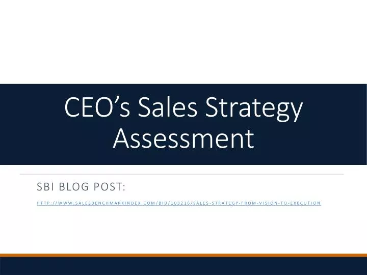 ceo s sales strategy assessment