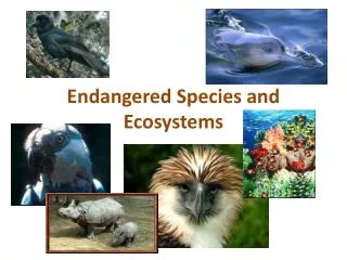 Endangered Species and Ecosystems