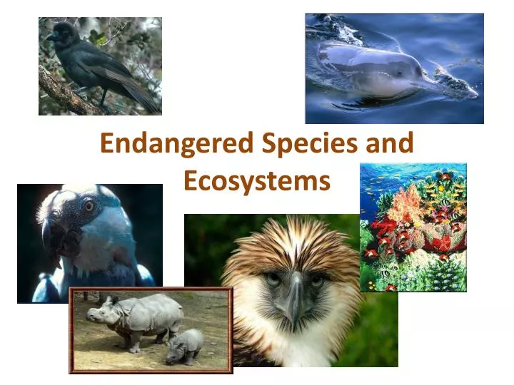 endangered species and ecosystems