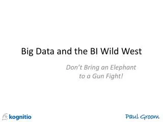 Big Data and the BI Wild West