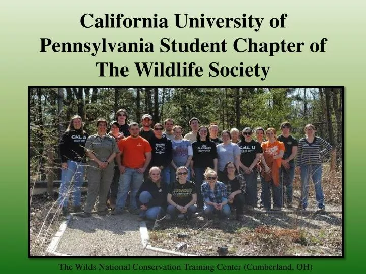 california university of pennsylvania student chapter of the wildlife society