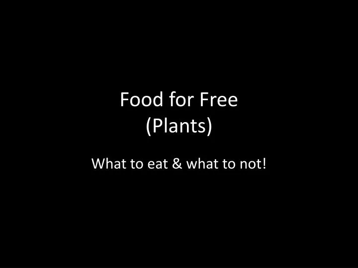 food for free plants