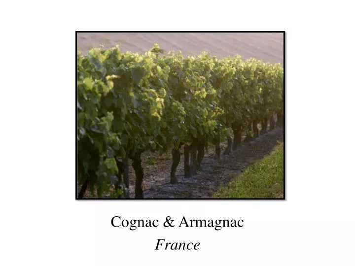 cognac armagnac france