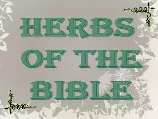 Herbs of the Bible