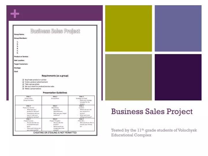 business sales project