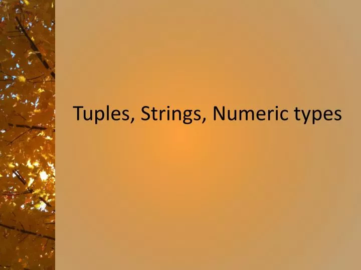 tuples strings numeric types