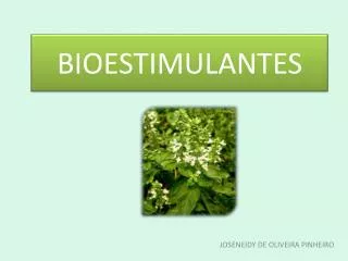 bioestimulantes