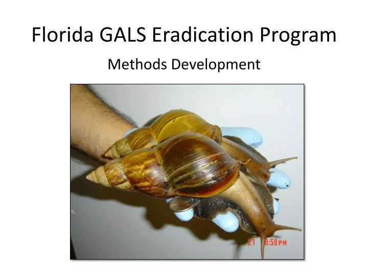 florida gals eradication program