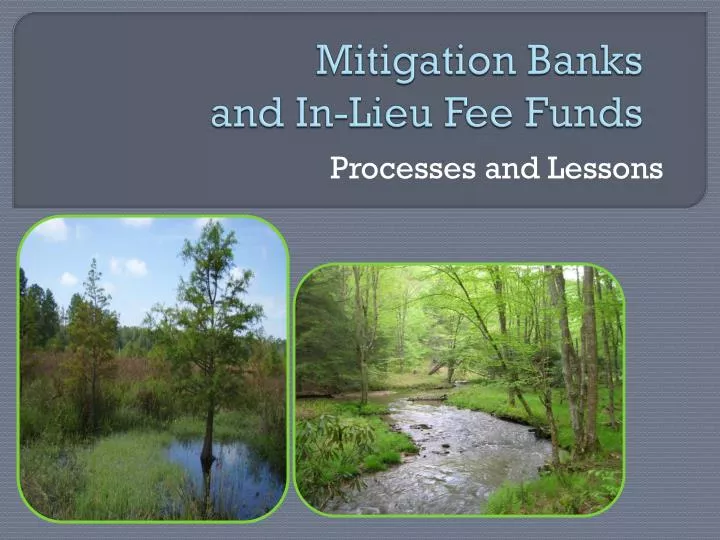 mitigation banks and in lieu fee funds
