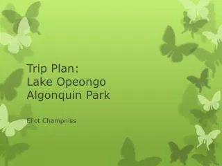 Trip Plan: Lake Opeongo Algonquin Park