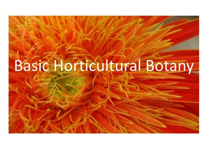 basic horticultural botany