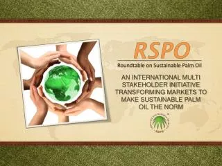 AN INTERNATIONAL MULTI STAKEHOLDER INITIATIVE TRANSFORMING MARKETS TO MAKE SUSTAINABLE PALM OIL THE NORM